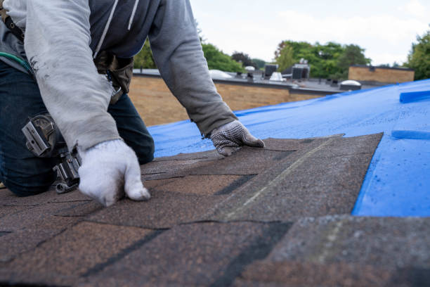 Best Roof Gutter Cleaning  in Plummer, ID