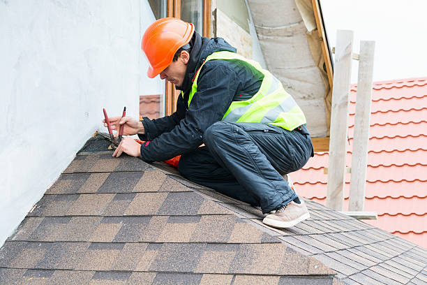 Best Local Roofing Companies  in Plummer, ID